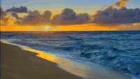 beach.gif