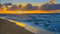 beach.gif